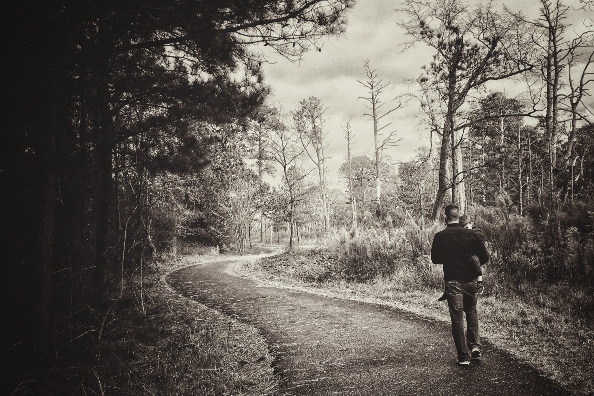 Day 5: The&nbsp;Vacation