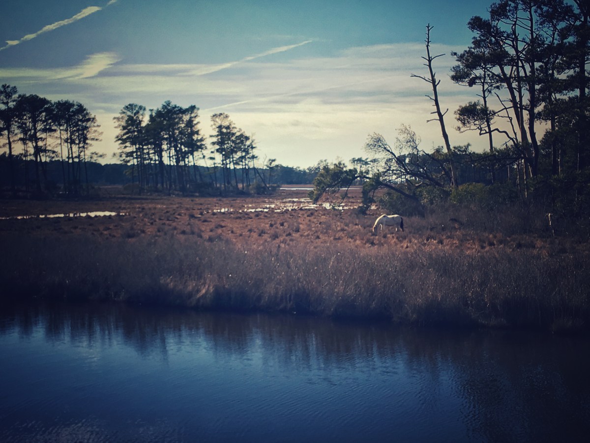 Day 6: end of the&nbsp;vacation